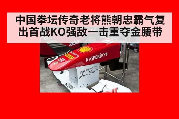 中国拳坛传奇老将熊朝忠霸气复出首战KO强敌一击重夺金腰带
