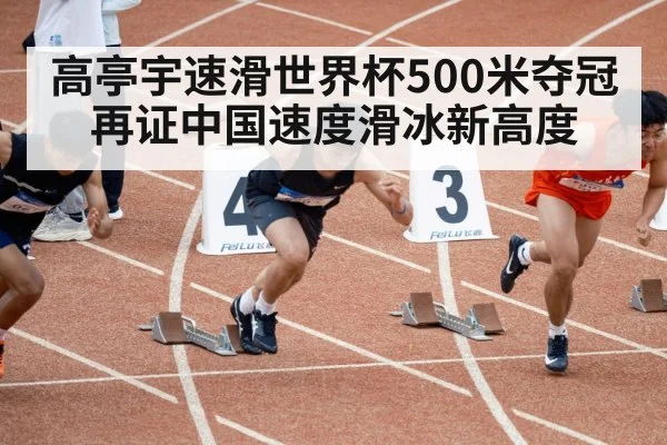高亭宇速滑世界杯500米夺冠再证中国速度滑冰新高度